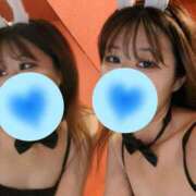 ヒメ日記 2025/11/07 12:04 投稿 アヤネ バニーコレクション新潟店