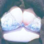 みる 出勤!! ぷるるん小町日本橋店