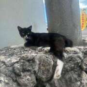 ヒメ日記 2025/11/08 16:49 投稿 くるみ 多恋人 新宿店