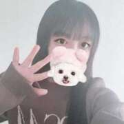 まいか 【11/30 グラッシーノのお兄様へ💌】 すぐ舐めたくて学園立川校〜舐めたくてグループ〜