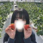 ヒメ日記 2026/02/16 19:15 投稿 まいか すぐ舐めたくて学園立川校〜舐めたくてグループ〜