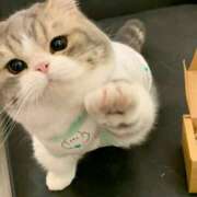 ヒメ日記 2025/11/11 16:58 投稿 ちぃ 舐めフェチの会