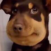 ヒメ日記 2025/11/22 13:38 投稿 ちぃ 舐めフェチの会