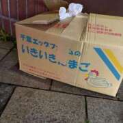 ヒメ日記 2026/03/28 08:02 投稿 杏南【アンナ】 輝女