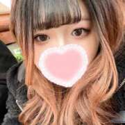 ヒメ日記 2025/10/22 09:28 投稿 ネコザメ　猫鮫 女の子市場