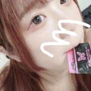 ヒメ日記 2025/10/23 22:18 投稿 ネコザメ　猫鮫 女の子市場