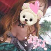 ヒメ日記 2025/12/20 07:50 投稿 なな 若妻淫乱倶楽部