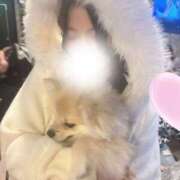 ヒメ日記 2026/04/16 12:51 投稿 もぶ フロンティア