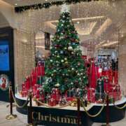 ヒメ日記 2025/12/25 16:20 投稿 桜井 ゆり CASA BIANCA（カーサ・ビアンカ）