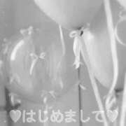 あおい ご挨拶♥︎ ファーストレディ(博多)