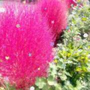 ヒメ日記 2025/11/03 15:04 投稿 みう 渋谷 風俗 いきなりビンビン伝説