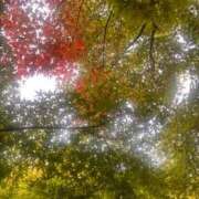 ヒメ日記 2025/11/13 08:15 投稿 みう 渋谷 風俗 いきなりビンビン伝説