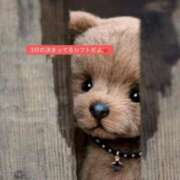 みう ３月の決まった出勤✨ 渋谷 風俗 いきなりビンビン伝説