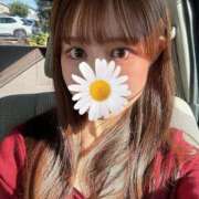 ヒメ日記 2025/11/19 12:46 投稿 かなえ 姫コレクション 高崎前橋店