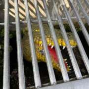 ヒメ日記 2025/11/09 15:33 投稿 佐伯 美緒 人妻セレブ宮殿