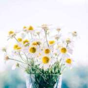 ヒメ日記 2026/01/17 05:45 投稿 こまち 奥様さくら日本橋店