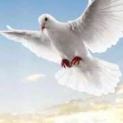 ヒメ日記 2026/03/11 14:31 投稿 こまち 奥様さくら日本橋店