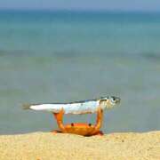 ヒメ日記 2025/10/20 07:16 投稿 こまち club さくら日本橋店