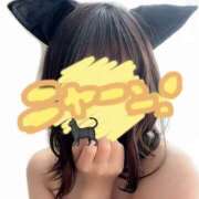 ヒメ日記 2026/04/02 11:26 投稿 こまち club さくら日本橋店