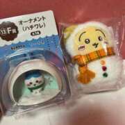 ヒメ日記 2025/12/14 06:30 投稿 こもも・SP やまとなでしこ桜組