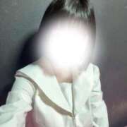 ヒメ日記 2025/12/28 06:59 投稿 こもも・SP やまとなでしこ桜組