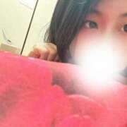 ヒメ日記 2025/11/12 15:20 投稿 こむぎ タレント倶楽部