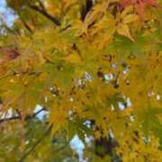 みやび ありがとう‪🫶 立川ちゃんこ