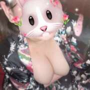 ヒメ日記 2025/10/20 13:51 投稿 めろん さくらん