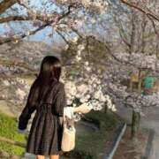 ヒメ日記 2026/04/22 11:20 投稿 みふゆ 浜松ハンパじゃない学園