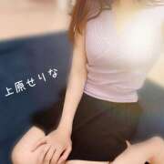 上原 せりな 本日出勤です♪ 千葉Grand Mrs.