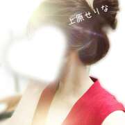 ヒメ日記 2025/12/11 14:46 投稿 上原 せりな 千葉Grand Mrs.