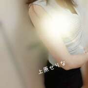 ヒメ日記 2025/12/14 21:42 投稿 上原 せりな 千葉Grand Mrs.