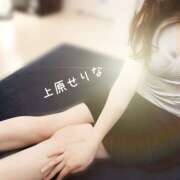 ヒメ日記 2025/12/22 10:43 投稿 上原 せりな 千葉Grand Mrs.