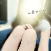 上原 せりな 次回の出勤日♪ 千葉Grand Mrs.