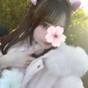 ヒメ日記 2026/02/06 17:14 投稿 葉月かれん ブルーバード