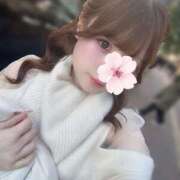 ヒメ日記 2026/02/25 21:14 投稿 葉月かれん ブルーバード