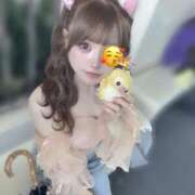 ヒメ日記 2026/04/27 15:14 投稿 葉月かれん ブルーバード