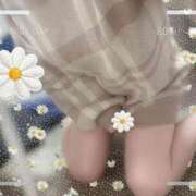 ヒメ日記 2025/11/19 20:38 投稿 Akari(あかり) AMATERAS(アマテラス)(福山)