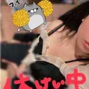 ヒメ日記 2025/12/28 14:52 投稿 うたう ハピネス水戸