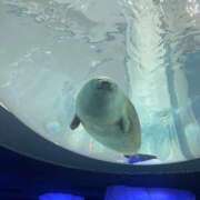 ヒメ日記 2026/02/24 02:22 投稿 ゆら SOAPLAND LOVE FACTORY