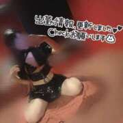 ヒメ日記 2026/02/28 21:52 投稿 ゆら SOAPLAND LOVE FACTORY