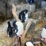 ヒメ日記 2026/04/22 15:59 投稿 ゆら SOAPLAND LOVE FACTORY