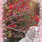 ヒメ日記 2026/04/10 22:20 投稿 藤澤涼 五十路マダム金沢店