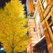 ヒメ日記 2025/11/11 21:45 投稿 藤木 人妻風俗チャンネル