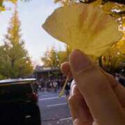 ヒメ日記 2025/11/14 16:06 投稿 藤木 人妻風俗チャンネル