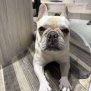 ヒメ日記 2025/11/14 17:31 投稿 藤木 人妻風俗チャンネル