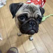 ヒメ日記 2025/11/21 14:20 投稿 藤木 人妻風俗チャンネル