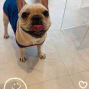 ヒメ日記 2025/11/25 14:12 投稿 藤木 人妻風俗チャンネル