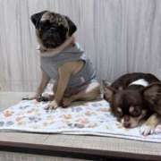 ヒメ日記 2025/11/28 13:39 投稿 藤木 人妻風俗チャンネル