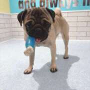 ヒメ日記 2025/12/13 11:34 投稿 藤木 人妻風俗チャンネル